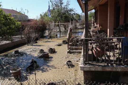 Βλοχός Καρδίτσας